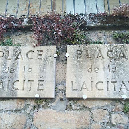 Au Pied Du Chateau - 5 A 11 Personnes - Baignade-Canoe-Piste Cyclable A 100 M Castelnaud La Chapelle Exterior foto