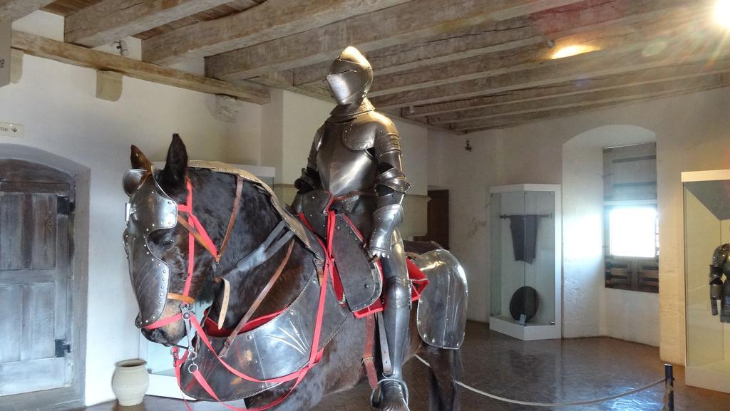 Au Pied Du Chateau - 5 A 11 Personnes - Baignade-Canoe-Piste Cyclable A 100 M Castelnaud La Chapelle Exterior foto
