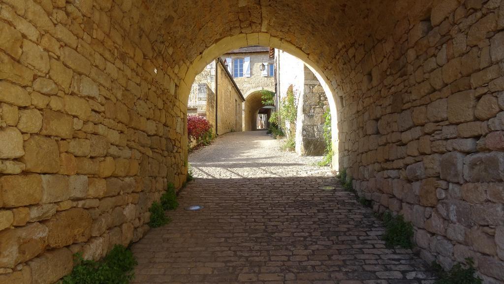 Au Pied Du Chateau - 5 A 11 Personnes - Baignade-Canoe-Piste Cyclable A 100 M Castelnaud La Chapelle Exterior foto