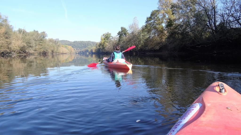 Au Pied Du Chateau - 5 A 11 Personnes - Baignade-Canoe-Piste Cyclable A 100 M Castelnaud La Chapelle Exterior foto