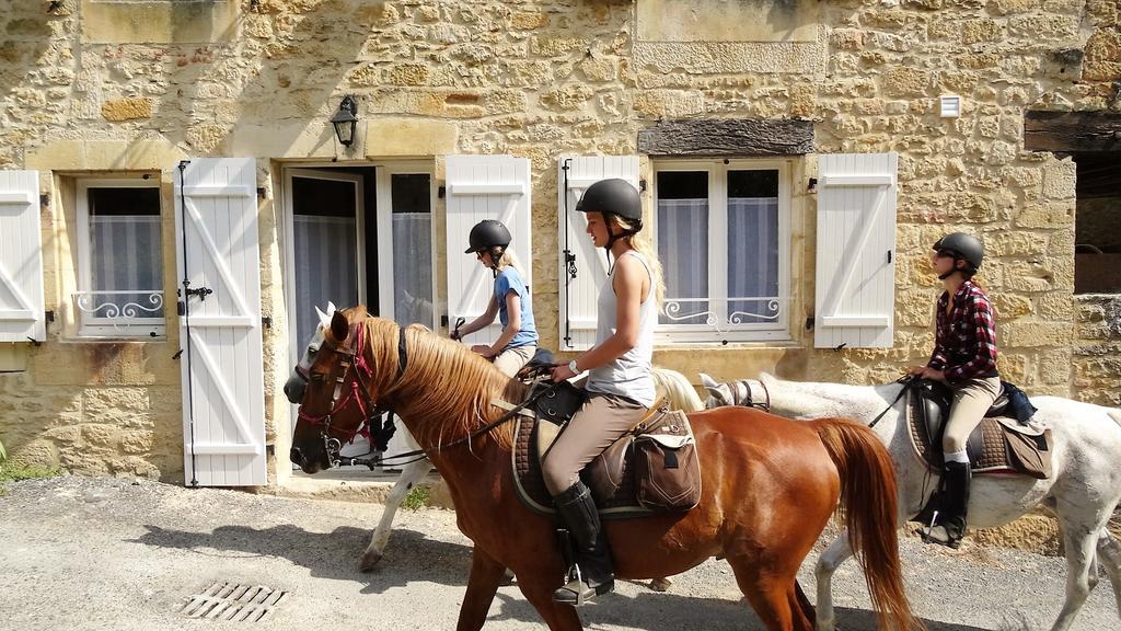 Au Pied Du Chateau - 5 A 11 Personnes - Baignade-Canoe-Piste Cyclable A 100 M Castelnaud La Chapelle Exterior foto
